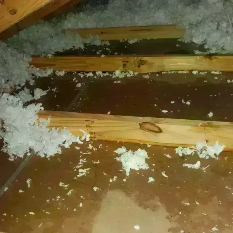 Attic Water Damage in Presidio County, TX