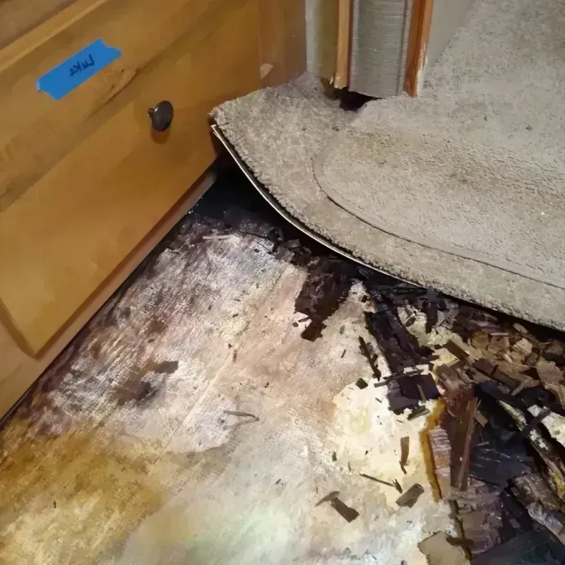 Wood Floor Water Damage in Presidio County, TX